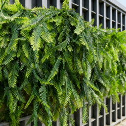 8 Pack Artificial Hanging Plant Artificial Fern Plants Fake Green Fern - thumbnail 7