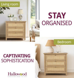 Hallowood Furniture Newquay Oak Effect Chest With 3 Drawer And Real Rattan Front - thumbnail 6