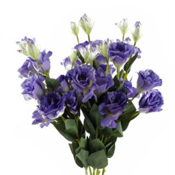 Leaf Pack Of 6 X 80Cm Artificial Purple Wild Rose Stem - 36 Flowers