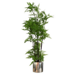 Leaf Metal Planter Plant Pot With Polished Silver Finish 20 X 18Cm - thumbnail 6