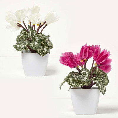 Homescapes Set Of 2 Artificial Cyclamen Plants In White Pots, 24 Cm - image 1