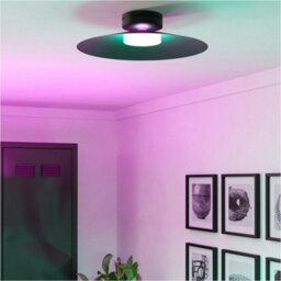 Loops Elegant Modern Black Ceiling Light Fixture For Indoor Use - Perfect For Any Room - thumbnail 7