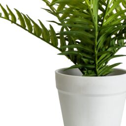Candlelight White & Green 26Cm Fern Artificial Plant In White Plastic Pot - thumbnail 2