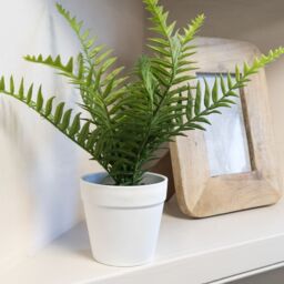 Candlelight White & Green 26Cm Fern Artificial Plant In White Plastic Pot - thumbnail 3