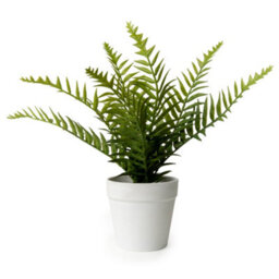 Candlelight White & Green 26Cm Fern Artificial Plant In White Plastic Pot