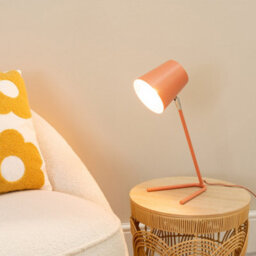 Valuelights Lark Coral Peach Metal Task Reading Compact Desk Table Lamp With Led Bulb