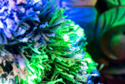 Shatchi 2Ft/60Cm Frosted Tips 8 Modes Fibre Optic Christmas Tree Led Pre-Lit - thumbnail 4