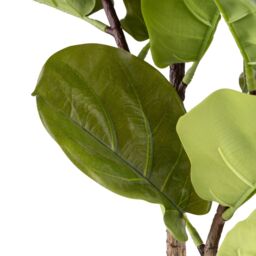 Candlelight Green 100Cm Fiddle Leaf Pot With Artificial Plant In Natural Plastic Pot - thumbnail 4