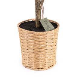 Candlelight Green 100Cm Fiddle Leaf Pot With Artificial Plant In Natural Plastic Pot - thumbnail 3