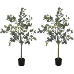 Wyld Haus Sulu Set Of 2 Artificial Eucalyptus-Style Trees With Silver Dollar Leaves In Pots, 120Cm
