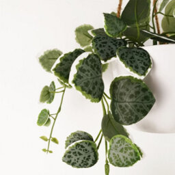 Leaf 90Cm Artificial Potted Hanging Trailing Green Plant - String Of Hearts - thumbnail 2