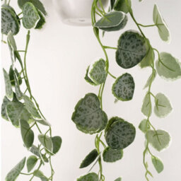 Leaf 90Cm Artificial Potted Hanging Trailing Green Plant - String Of Hearts - thumbnail 4