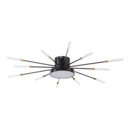 Thehotsale Modern 12 Heads Black Iron And Acrylic Fireworklike Low Energy Led Ceiling Light Fixture Decor