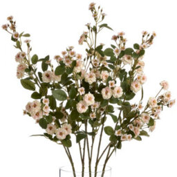 Wyld Haus Set Of 3 Cream Wild Meadow Rose Artificial Flower Stems, 740mm - thumbnail 2