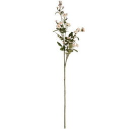 Wyld Haus Set Of 3 Cream Wild Meadow Rose Artificial Flower Stems, 740mm - thumbnail 1