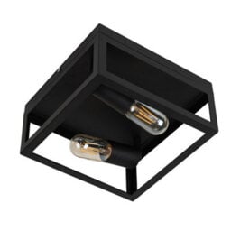 Valuelights Pisces Industrial Black 2 Way Caged Ceiling Light And Bulbs - thumbnail 1