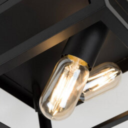 Valuelights Pisces Industrial Black 2 Way Caged Ceiling Light And Bulbs - thumbnail 6