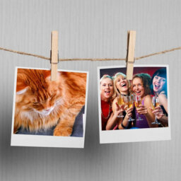 SOL 150Pk Mini Wooden Pegs For Photos & Craft - Mini Pegs For Photos - Small Pegs For Hanging Photos - Small Wooden Pegs - Photo Pegs - thumbnail 7