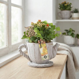 Decorative Cement Teapot Arrangement - 18Cm - thumbnail 3