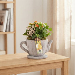 Decorative Cement Teapot Arrangement - 18Cm - thumbnail 2