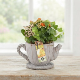 Decorative Cement Teapot Arrangement - 18Cm - thumbnail 6