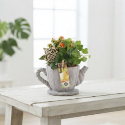 Decorative Cement Teapot Arrangement - 18Cm - thumbnail 5