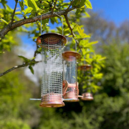 Selections Copper Style Hanging Bird Feeders Seed, Nut And Fatball (Set Of 3) - thumbnail 6