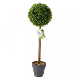 2X Smart Garden Uno Topiary Ball Tree 35Cm Ceramic Pot Artificial Indoor Outdoor - thumbnail 2