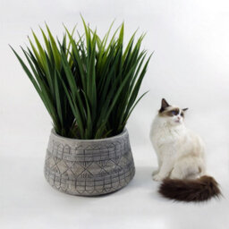 Leaf Large Grey Gliese Embossed Planter 22Cm X 37Cm - thumbnail 3