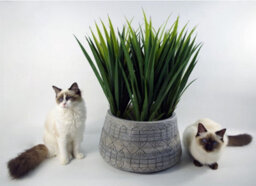 Leaf Large Grey Gliese Embossed Planter 22Cm X 37Cm - thumbnail 7