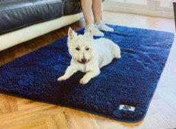eXtreme Dog Luxury Comfy Cover Navy 100 X 170Cm - thumbnail 2