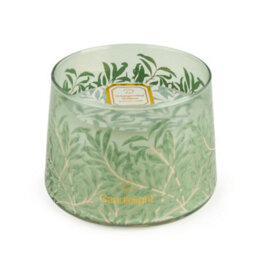 Candlelight Sage Green William Morris White Poppy & Sage Medium Jar Candle - thumbnail 1