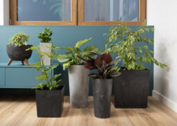 Lamela™ Karo Black Concrete Trough Planter, Stone Effect Rectangular Resin Pot With Coaster Wheels L80 W40 H40Cm - thumbnail 2
