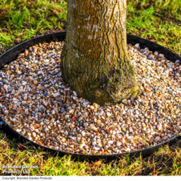 Garden Gear Circular Heavy Duty Metal Border Edging For Bushes, Shrubs & Trees 60Cm Diameter (Black) - thumbnail 1