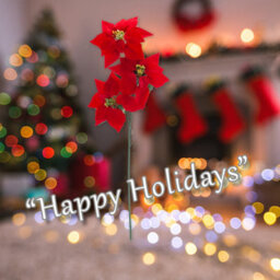 3 Head Ponisettia Bunch Christmas Decoration X 1 68Cm Red - thumbnail 4