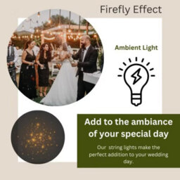 Firefly Festoon - Multi-Coloured, 20 Waterproof Led Festoon Lights Outdoor, Indoor Outdoor Globe String Lights - thumbnail 6