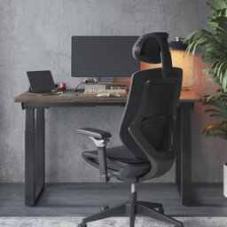 Flexispot 6D Armrest Multifunctional Fabric Ergonomic Chair Bs12 Pro In Black - thumbnail 8