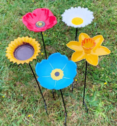 Selections Floral Bird Feeders - Poppy, Daffodil, Sunflower, Daisy & Forget Me Not - thumbnail 3