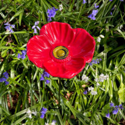 Selections Floral Bird Feeders - Poppy, Daffodil, Sunflower, Daisy & Forget Me Not - thumbnail 4