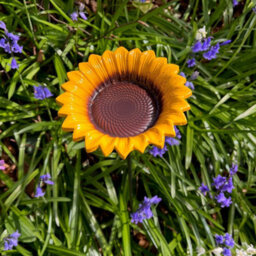 Selections Floral Bird Feeders - Poppy, Daffodil, Sunflower, Daisy & Forget Me Not - thumbnail 5