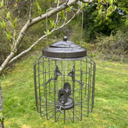 Selections Heavy Duty Squirrel Proof Hanging Bird Seed Feeder Cage (Set Of 2) - thumbnail 2