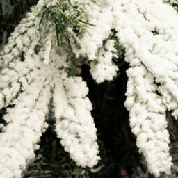 Christmas Tree World The 8Ft/240Cm Snowy Alpine Christmas Tree - thumbnail 5