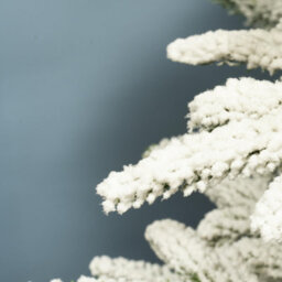 Christmas Tree World The 8Ft/240Cm Snowy Alpine Christmas Tree - thumbnail 6