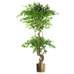 Leaf 150Cm Twisted Trunk Artificial Japanese Fruticosa Ficus Tree Gold Planter