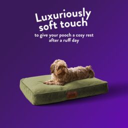 Slumberdown Green Fabric Dog Bed Replacement Cover (W)70Cm (D)60Cm Medium - thumbnail 5