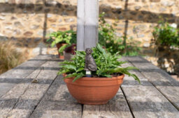 Jardinopia Labrador Plant Drip Feeder Cover & Feed - L5.5 X W5 X H10 Cm - thumbnail 4