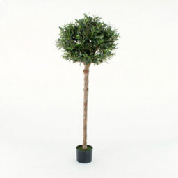 GreenBrokers Artificial Olive Tree With Real Wood Trunk, Premium Quality Natural Appearance, 5Ft/150 Cm