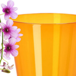 B2C Plant Orchid Pot Plastic  Gloss Oval Planter 12 Cm Orange Round - thumbnail 5