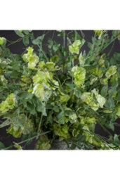 Sweet Pea Trail Artificial Flower For Elegant Floral Arrangements - thumbnail 2