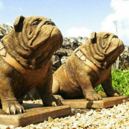 Exclusive Pair Life Size Sitting British Bulldogs Ornament Statue Hand Made In Uk - thumbnail 4
